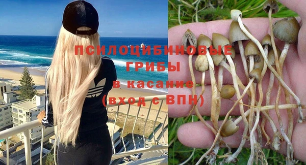 СК Беломорск